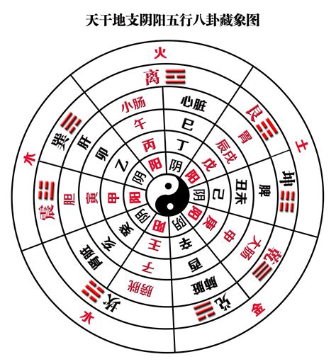 土跟木|木与其它五行的关系